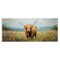Stupell Industries Shaggy Highland Cow Wall Plaque, design by Petal Prints Design
